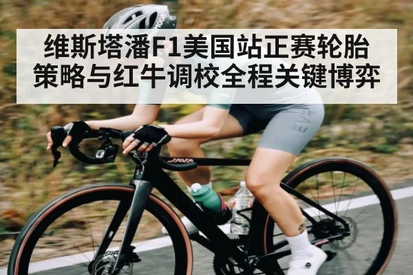 维斯塔潘F1美国站正赛轮胎策略与红牛调校全程关键博弈